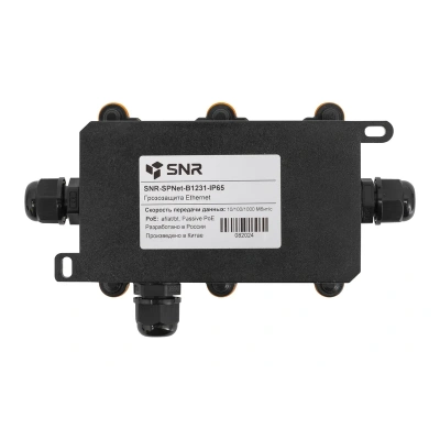 SNR SNR-SPNET-B1231-IP65 Грозозащита 2