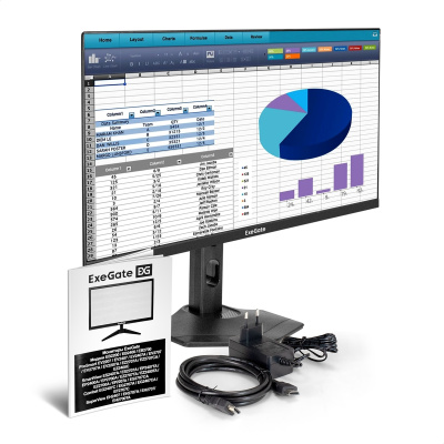 ExeGate EX299032RUS Монитор 1