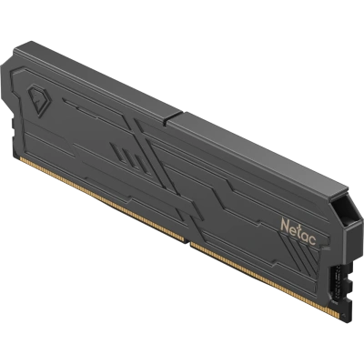 Netac NTSHD4P32SP-08K Оперативная память 2