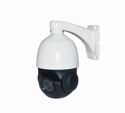AltCam ISDV25IR IP-камера 1