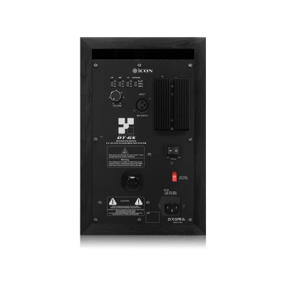 Icon DT-6S 110302A1001 Акустическая система 3