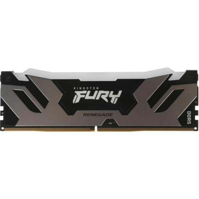 Kingston URY Renegade Silver RGB KF580C38RSA-24 Модуль памяти 2
