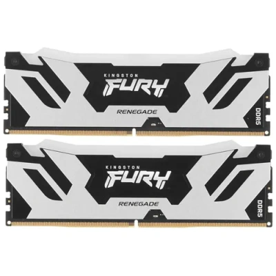 Kingston FURY Renegade Silver RGB KF564C32RSAK2-48 Модуль памяти 1