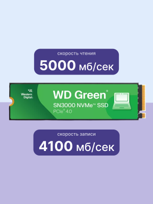 WD WDS500G4G0E Твердотельный накопитель 4