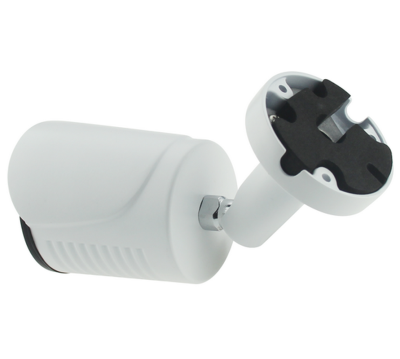 AltCam ICF24IR-2 IP-камера 2