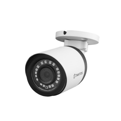 Tantos TSI-PE80FP (3.6) IP камера 1