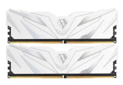 Netac NTSWD4P36DP-16W Модуль памяти
