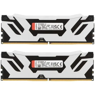 Kingston FURY Renegade Silver RGB KF572C38RSAK2-48 Модуль памяти 2