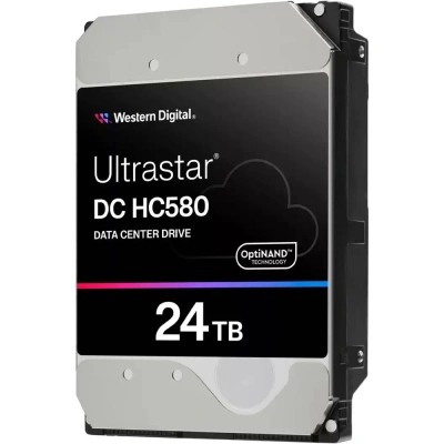 Western Digital WUH722424ALE604_0F62819 Жесткий диск 1