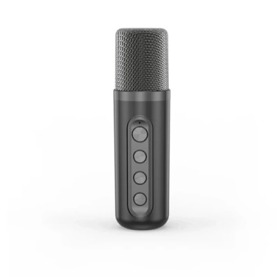 Iconbit K902B TRS2402 Переносная караоке система 2