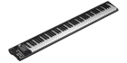 Icon Artist 88X MIDI клавиатура