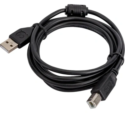 Cablexpert CCF-USB2-AMBM-6 USB 2.0 Кабель 1