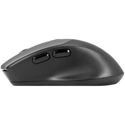 ExeGate Professional Standard BT-070 EX298897RUS Мышь 5