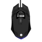 Exegate EX295301RUS Комплект клавиатура + мышь 2