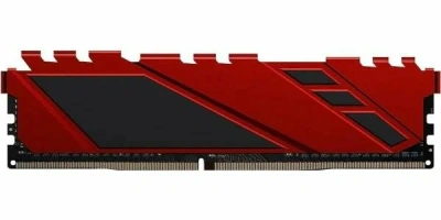 Netac NTSDD4P36SP-08R 8GB Модуль памяти 1