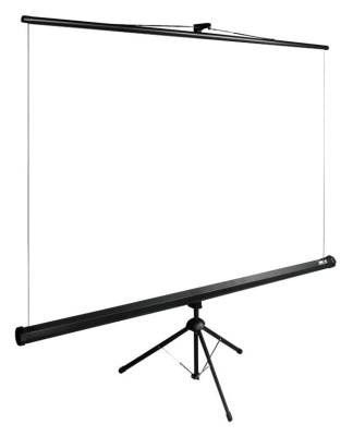 Cactus TriExpert CS-PSTE-160X160-BK Экран