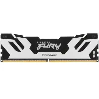 Kingston FURY Renegade Silve KF564C32RS-24 Модуль памяти