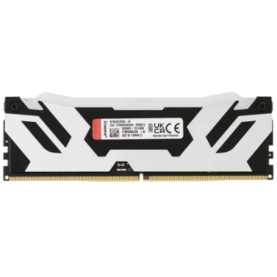 Kingston FURY Renegade Silver RGB KF564C32RSA-24 Модуль памяти 1