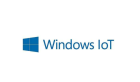 Microsoft Win 11 IoT Ent LTSC 2024 ESD OEI Upgrade Value EP2-07334 Операционная система
