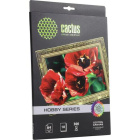 Cactus CS-CA426010 Холст