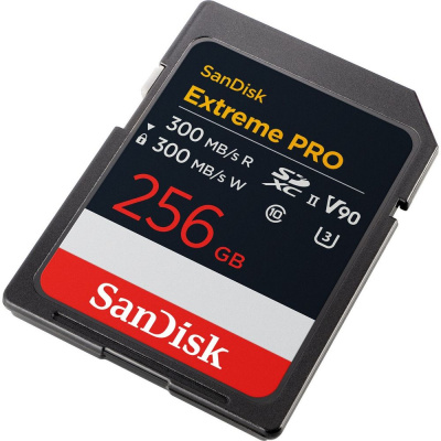 SanDisk SDSDХDM-256G-GN4IN Карта памяти 1