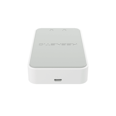 KEENETIC LINEAR (KN-3110) VOIP-адаптер 5