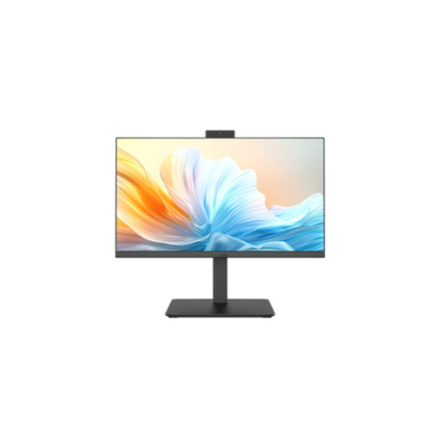 AOPEN WA244-13HX 90.AA600.W510 Моноблок