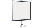 Lumien Eco View LEV-100115 Экран на штативе 3