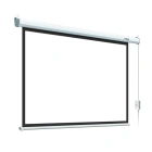 Lumien Eco Control LEC-100119 Экран с электроприводом 3