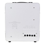 PowerMan AVS 10000 E 6187946 Стабилизатор напряжения 4