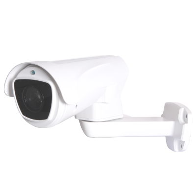 AltCam ICV24IR-PTZ IP-камера