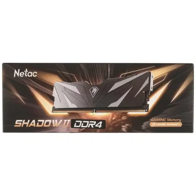 Netac NTSWD4P32SP-08K Модуль памяти 2