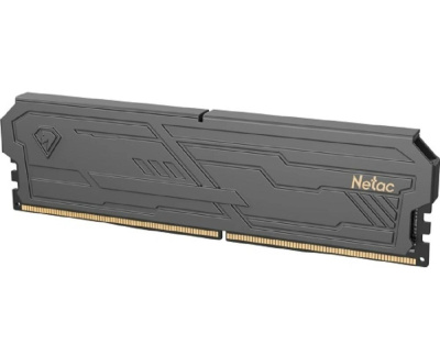 Netac NTSHD4P32SP-08K Оперативная память