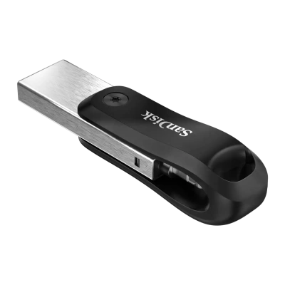 SanDisk SDIX60N-064G-GN6NN 64GB Флэш-накопитель 1