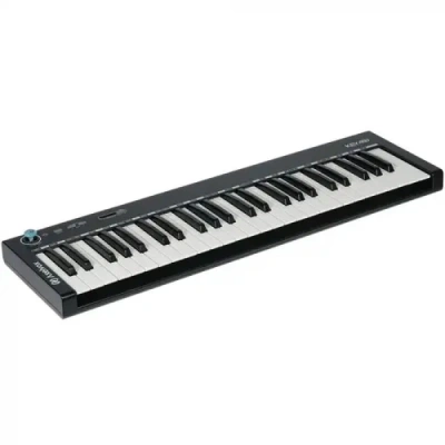 Axelvox AX-1973K KEY49j Black MIDI клавиатура 2