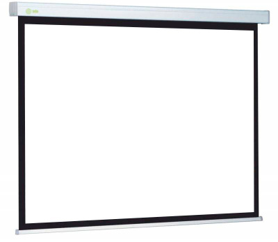 Cactus Wallscreen CS-PSW-206X274 Экран