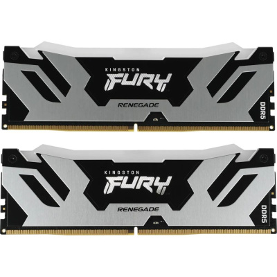 Kingston FURY Renegade Silver RGB KF588CU42RSAK2-48 Модуль памяти 1