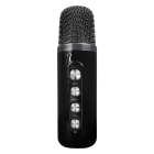iconBIT K702B TRS2406 Переносная караоке система 5