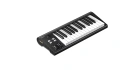 Icon Artist 25 MIDI клавиатура