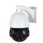 AltCam ISDV41IR Поворотная IP видеокамера 2
