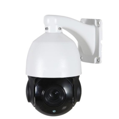 AltCam ISDV41IR Поворотная IP видеокамера 1
