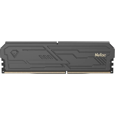 Netac NTSHD4P32SP-08K Оперативная память 1