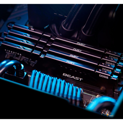 Kingston FURY Beast Black XMP KF556C40BBK4-64 Память оперативная 7