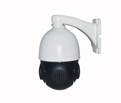 AltCam ISDV25IR IP-камера 2