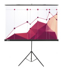 Cactus Triscreen CS-PST-180X180 Экран