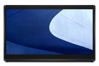 ASUS E1600WKAT-BD123M 90PT0391-M00AR0 Моноблок