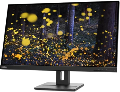 Lenovo 62D0GAR1CB Монитор 2
