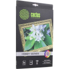 Cactus CS-DA419010 Фотобумага
