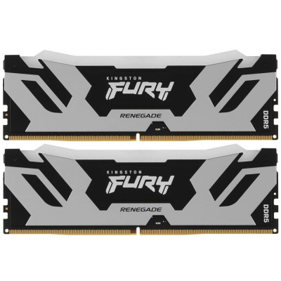 Kingston FURY Renegade Silver/Black KF580C38RSAK2-48 Модуль памяти 3