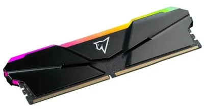 Netac NTSRD4P32SP-16E DIMM 16GB Модуль памяти 3
